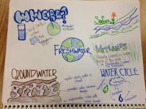 Freshwater Art Notes