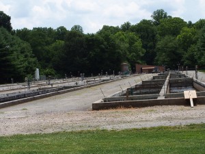 Raceways at the Buford Trout Hatchery