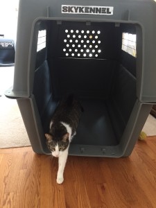 Newton tests out Devon's crate